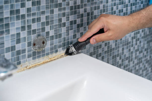 Best Office Mold Removal Services  in Stroudsburg, PA